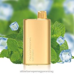 Alibarbar Flavours List - Alibarbar Rich 8000 eldobható vape menta szellő 8V22Z8
