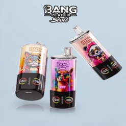 Bang Leader Stoll 100k – 4in1 e-cigaretta 100000 sluk