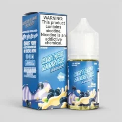 Custard Monster Blueberry Custard Salt 30ml Jam Monster vape